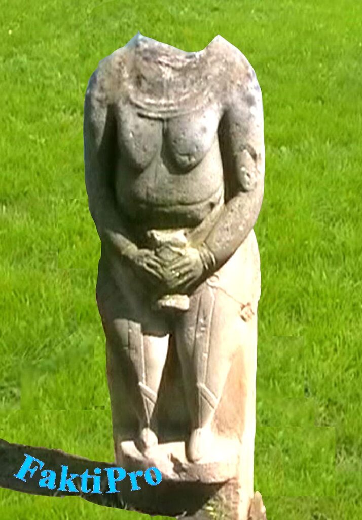 Кипчатская каменная статуя из города Луганск