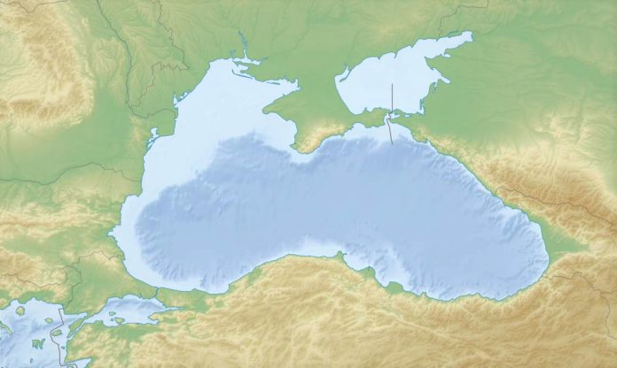 Растения и животные Черного моря интересные факты