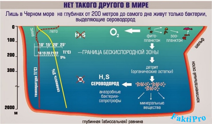 Разделение Черного моря на кислородную и сероводородную зону